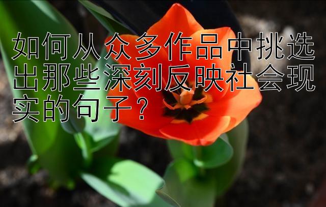 如何从众多作品中挑选出那些深刻反映社会现实的句子？