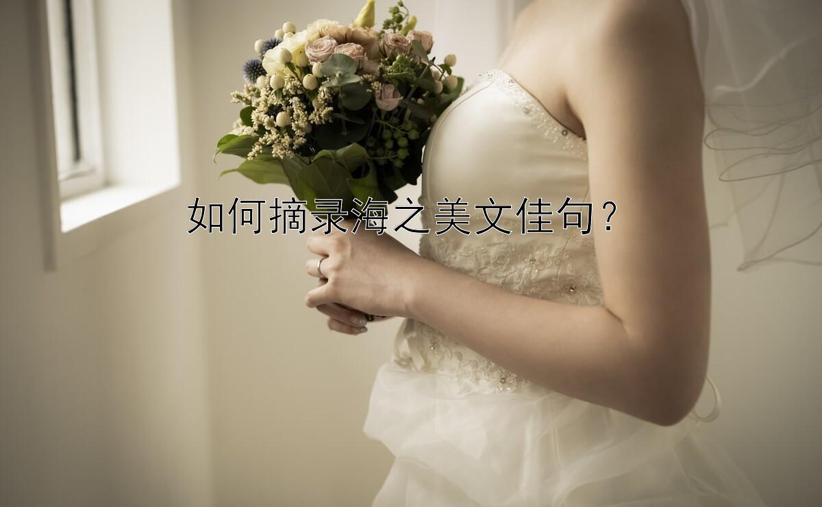 如何摘录海之美文佳句？