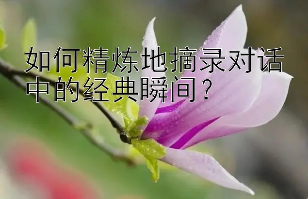 如何精炼地摘录对话中的经典瞬间？