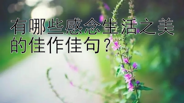 有哪些感念生活之美的佳作佳句？