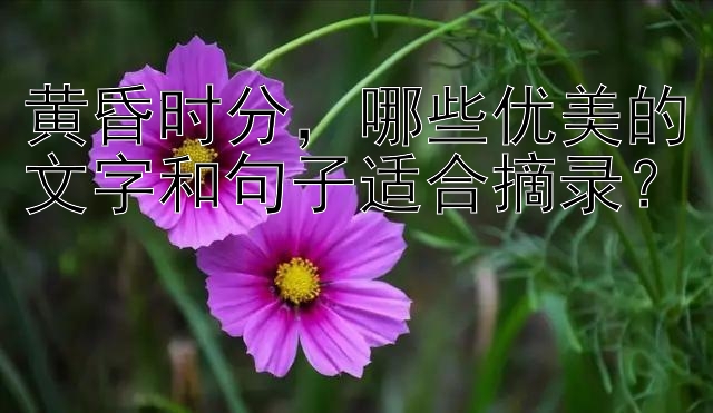 黄昏时分，哪些优美的文字和句子适合摘录？