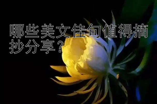 哪些美文佳句值得摘抄分享？