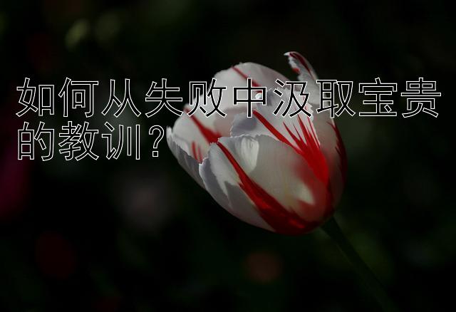 如何从失败中汲取宝贵的教训？