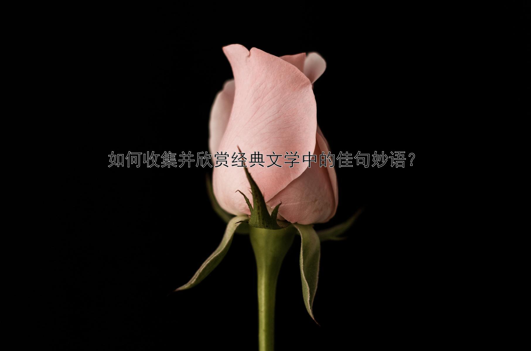 如何收集并欣赏经典文学中的佳句妙语？