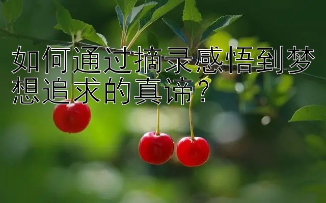 如何通过摘录感悟到梦想追求的真谛？