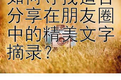 如何寻找适合分享在朋友圈中的精美文字摘录？