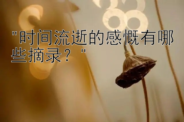 时间流逝的感慨有哪些摘录？