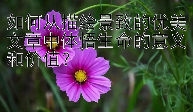 如何从描绘景致的优美文章中体悟生命的意义和价值？