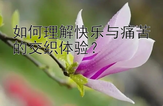 如何理解快乐与痛苦的交织体验？