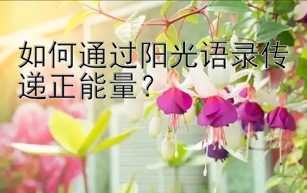 如何通过阳光语录传递正能量？