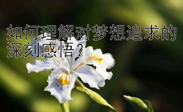 如何理解对梦想追求的深刻感悟？