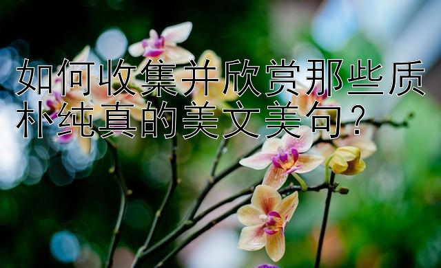 如何收集并欣赏那些质朴纯真的美文美句？