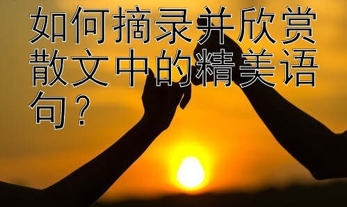 如何摘录并欣赏散文中的精美语句？