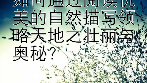 如何通过阅读优美的自然描写领略天地之壮丽与奥秘？