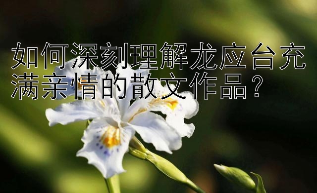 如何深刻理解龙应台充满亲情的散文作品？