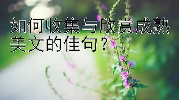 如何收集与欣赏成熟美文的佳句？