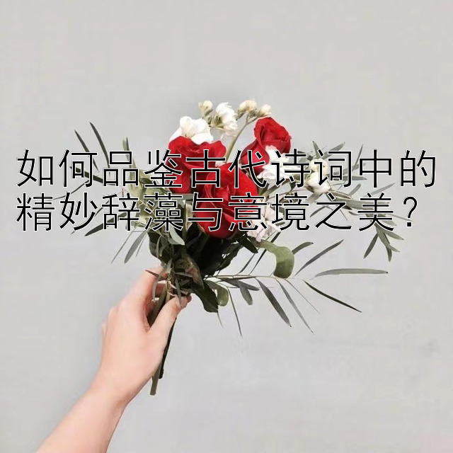 如何品鉴古代诗词中的精妙辞藻与意境之美？