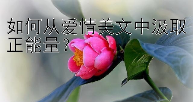 如何从爱情美文中汲取正能量？