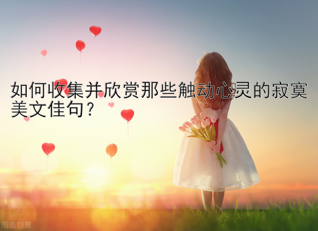 如何收集并欣赏那些触动心灵的寂寞美文佳句？