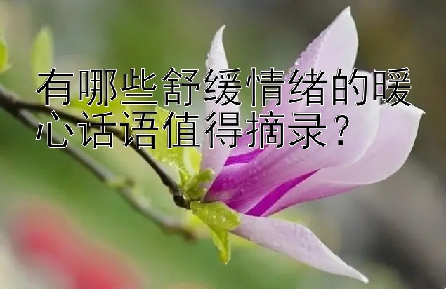 有哪些舒缓情绪的暖心话语值得摘录？