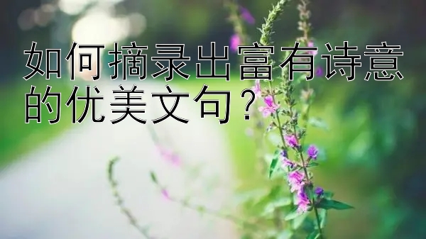 如何摘录出富有诗意的优美文句？