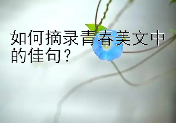 如何摘录青春美文中的佳句？