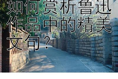 如何赏析鲁迅作品中的精美文句？