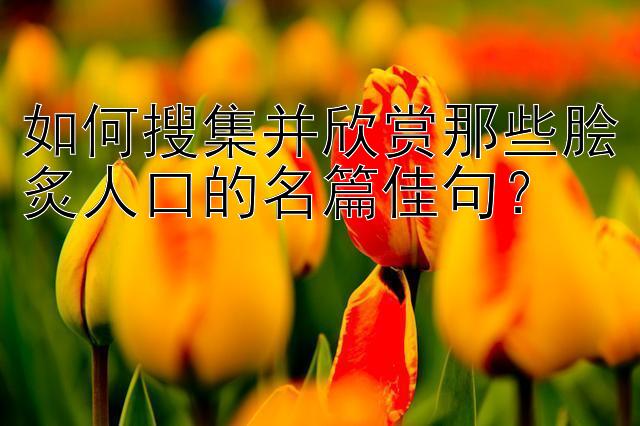 如何搜集并欣赏那些脍炙人口的名篇佳句？