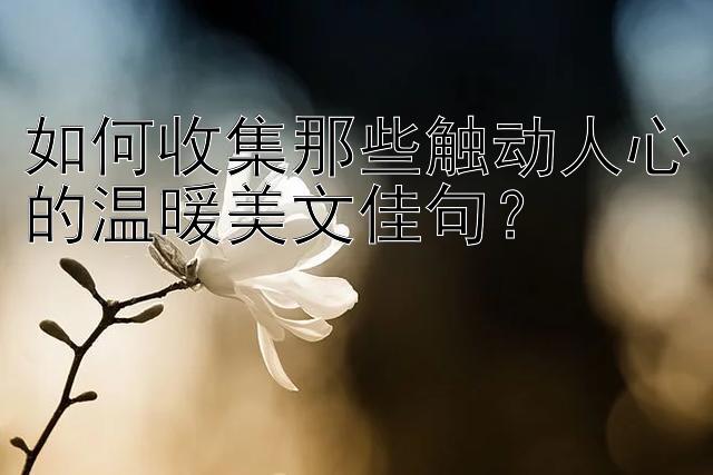 如何收集那些触动人心的温暖美文佳句？