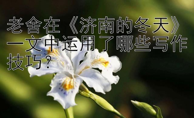 老舍在《济南的冬天》一文中运用了哪些写作技巧？