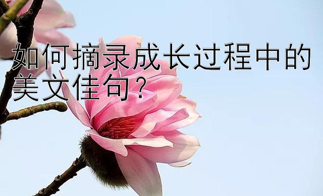 如何摘录成长过程中的美文佳句？