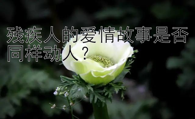 残疾人的爱情故事是否同样动人？