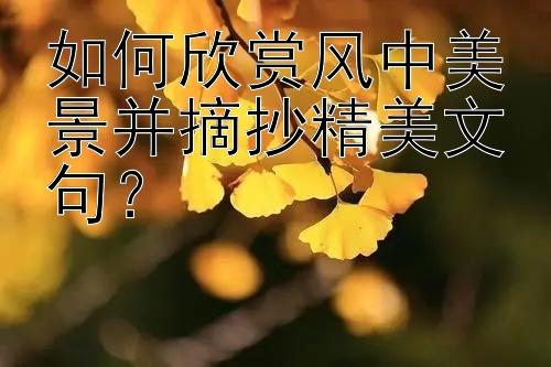 如何欣赏风中美景并摘抄精美文句？