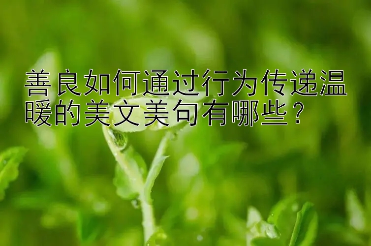 善良如何通过行为传递温暖的美文美句有哪些？