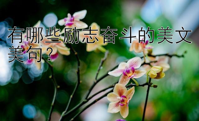 有哪些励志奋斗的美文美句？