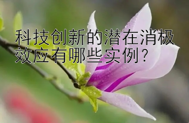 科技创新的潜在消极效应有哪些实例？