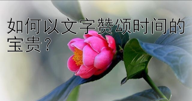 如何以文字赞颂时间的宝贵？