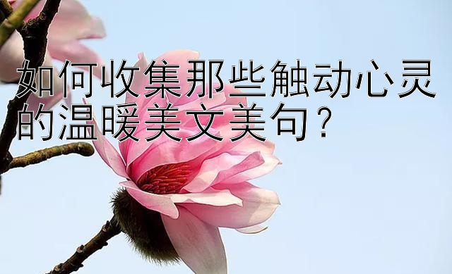 如何收集那些触动心灵的温暖美文美句？