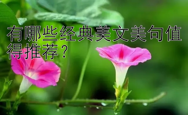 有哪些经典美文美句值得推荐？