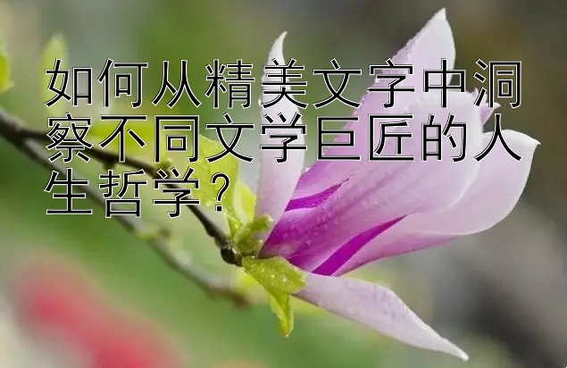 如何从精美文字中洞察不同文学巨匠的人生哲学？