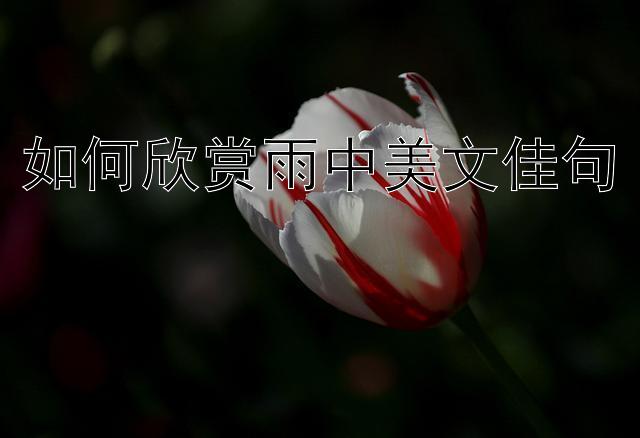 如何欣赏雨中美文佳句