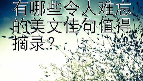 有哪些令人难忘的美文佳句值得摘录？