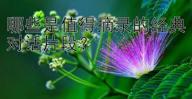 哪些是值得摘录的经典对话片段？