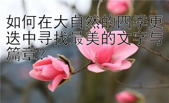 如何在大自然的四季更迭中寻找最美的文字与篇章？