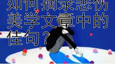 如何摘录悲伤美学文章中的佳句？