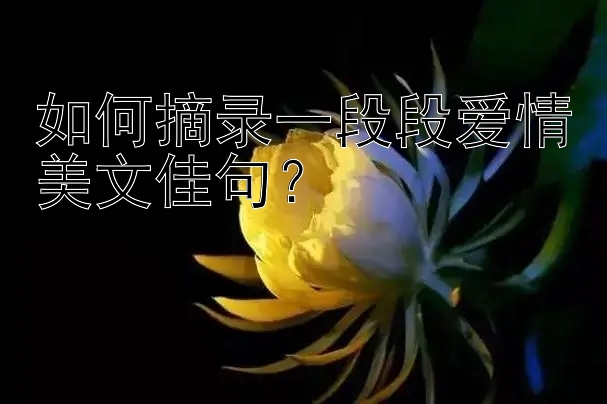 如何摘录一段段爱情美文佳句？