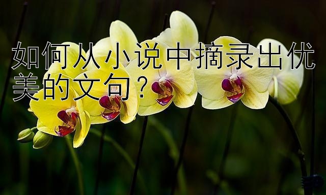 如何从小说中摘录出优美的文句？