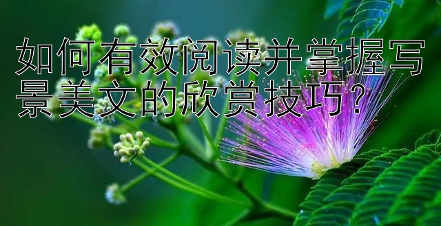 如何有效阅读并掌握写景美文的欣赏技巧？