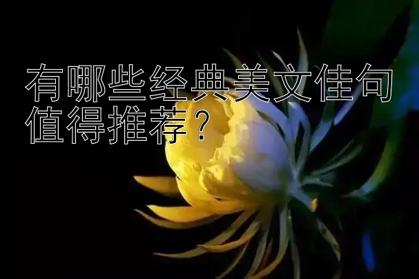 有哪些经典美文佳句值得推荐？