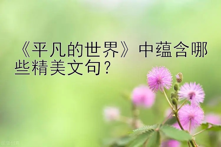 《平凡的世界》中蕴含哪些精美文句？